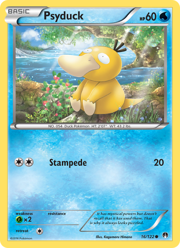 xy9-16